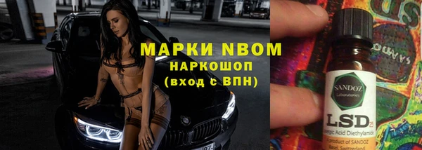 индика Белокуриха