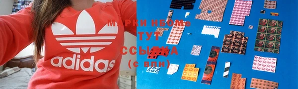 индика Белокуриха