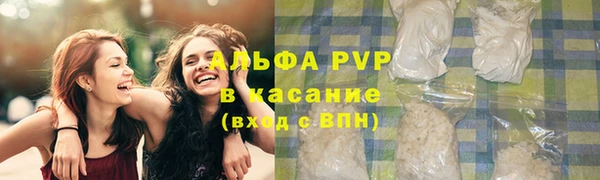 индика Белокуриха