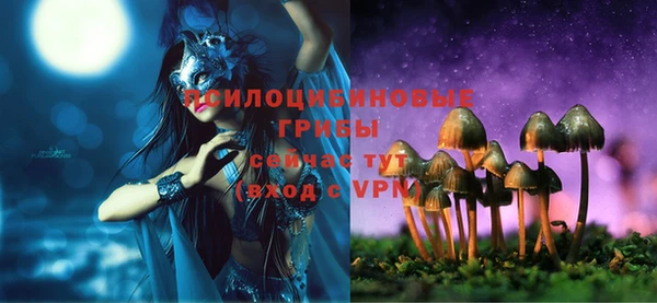 трава Беломорск