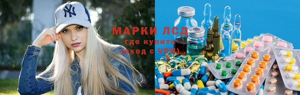 винт Богданович