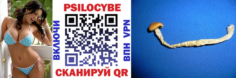 мега зеркало хочу наркоту Бологое Галлюциногенные грибы Psilocybine cubensis