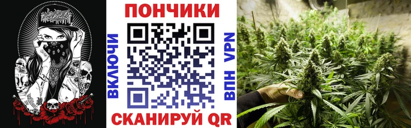 Бошки марихуана Bruce Banner Бологое