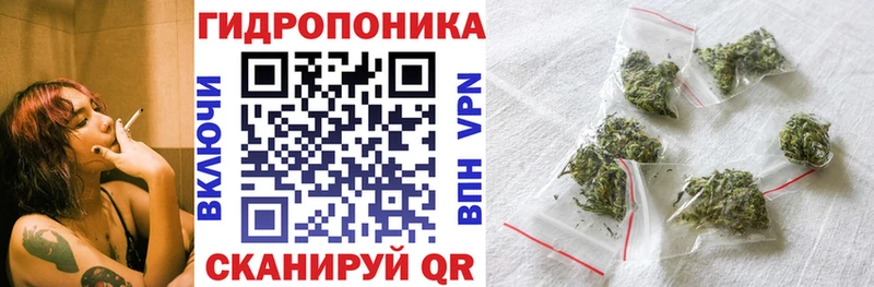купить наркоту  Бологое  Каннабис ГИДРОПОН 